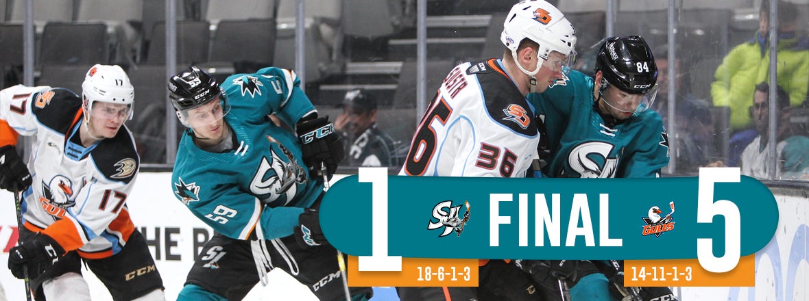 BARRACUDA DOWNED BY GULLS 5-1