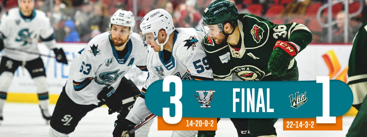 BARRACUDA TAME WILD 3-1