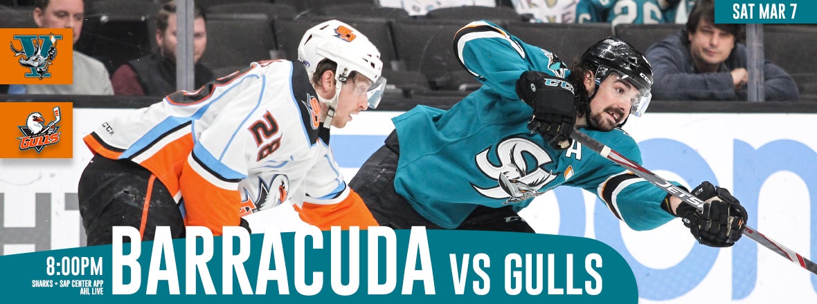 GAMEDAY: BARRACUDA VS GULLS