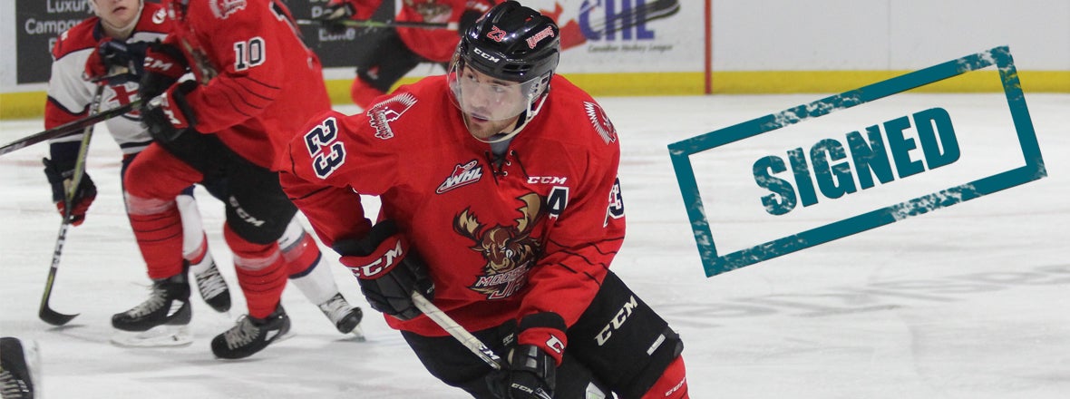 BARRACUDA SIGN FORWARD TRISTAN LANGAN