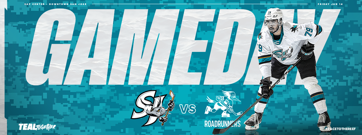 GAMEDAY: BARRACUDA VS ROADRUNNERS