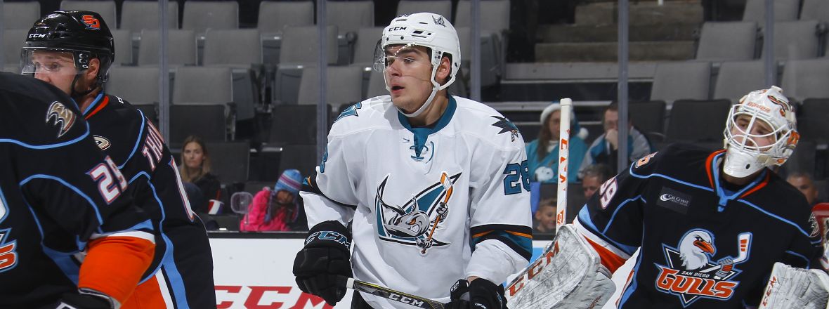 SHARKS REASSIGN MEIER, HEED, AND SORENSEN TO THE BARRACUDA