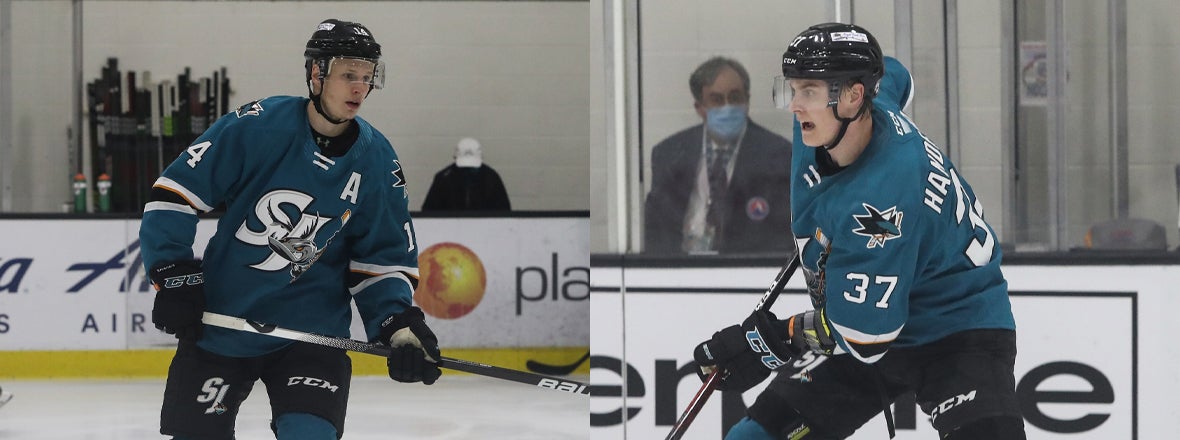 SHARKS RECALL HANDEMARK AND SUOMELA