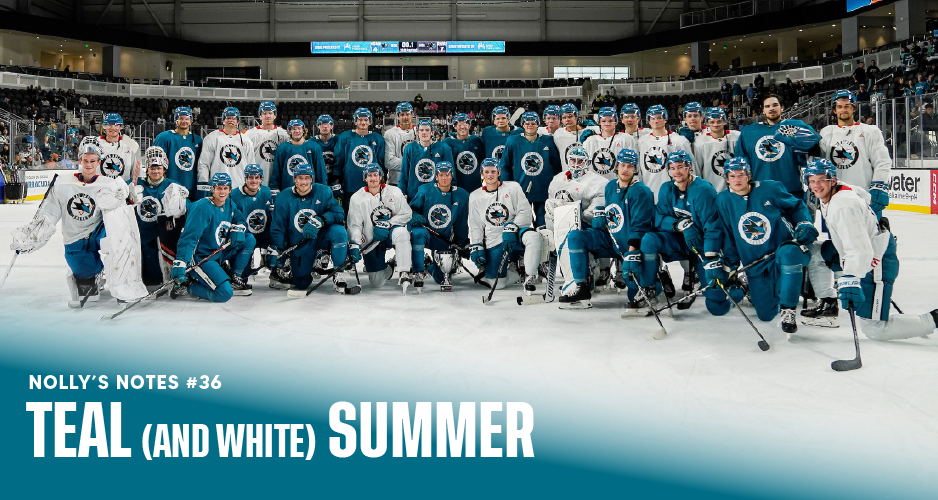 Hockey Fights Cancer Winnipeg Jets Purple 255J Adidas NHL Authentic Pro  Jersey