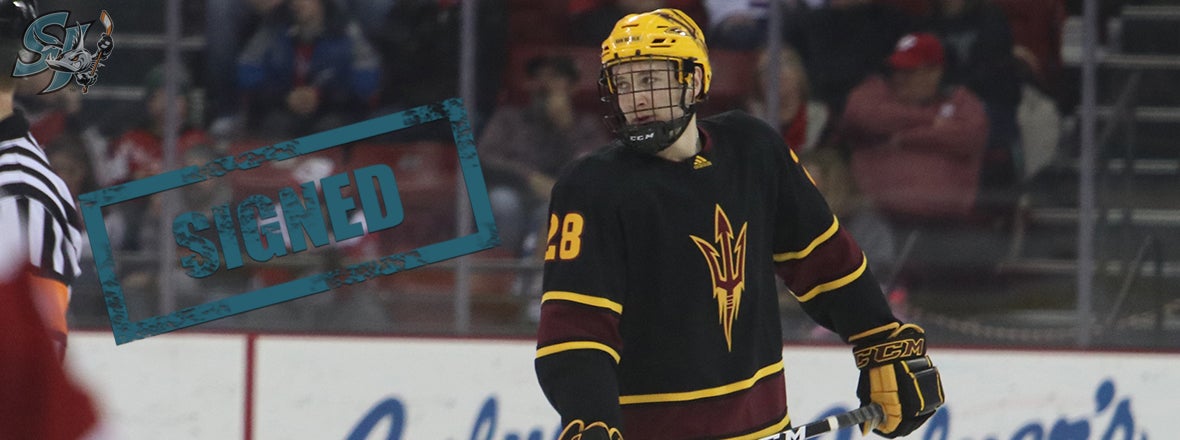 SAN JOSE BARRACUDA SIGN FORWARD STEENN PASICHNUK