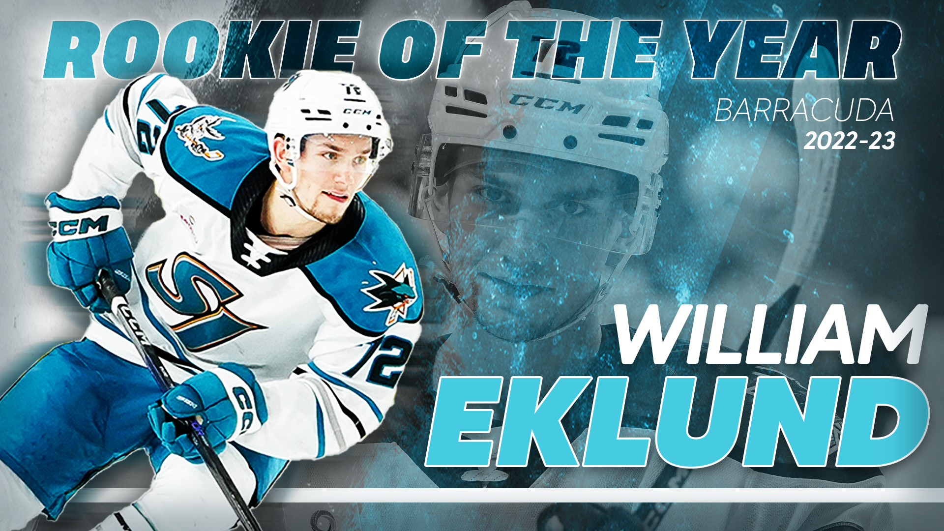 Rookie of the year 1920x1080.png