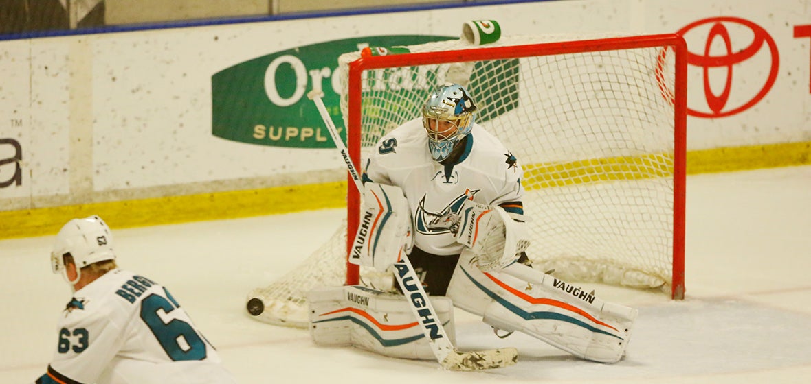 Sharks Recall Nine Players From Barracuda