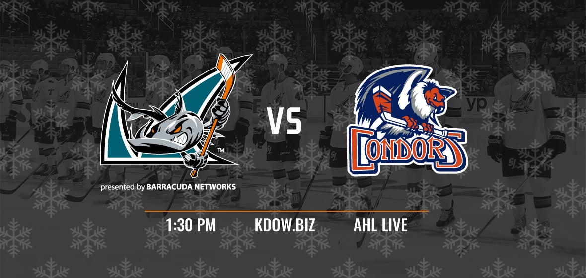 Gameday: Barracuda vs Condors