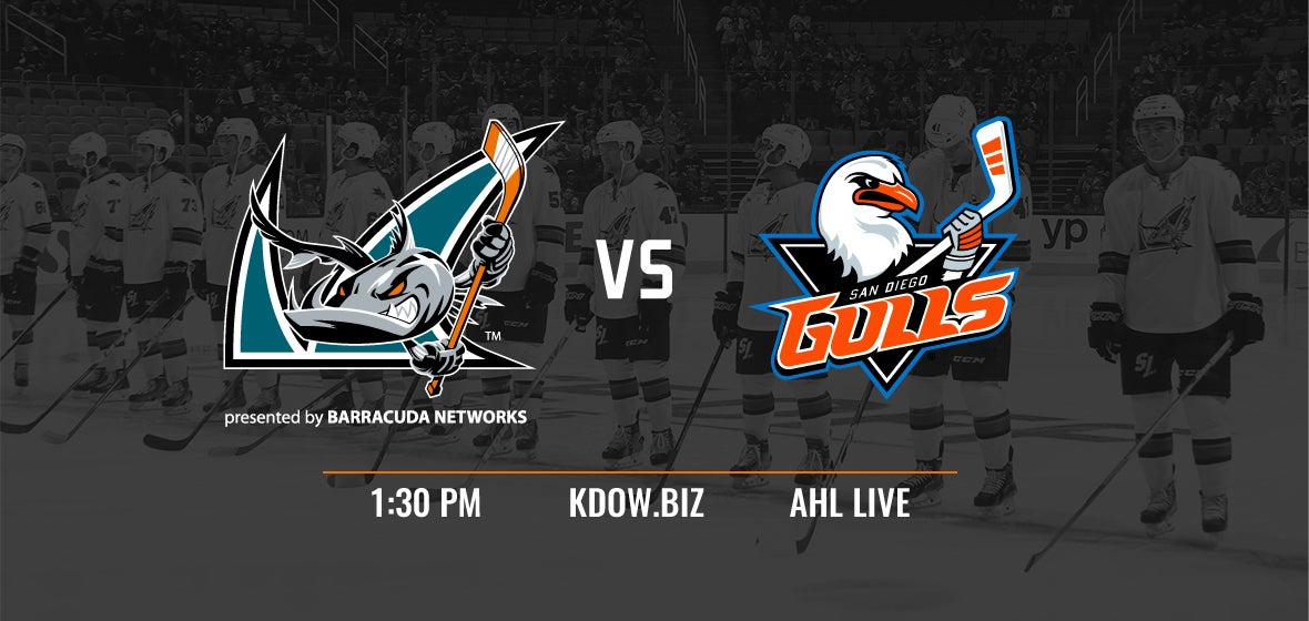 GAMEDAY: Barracuda vs Gulls