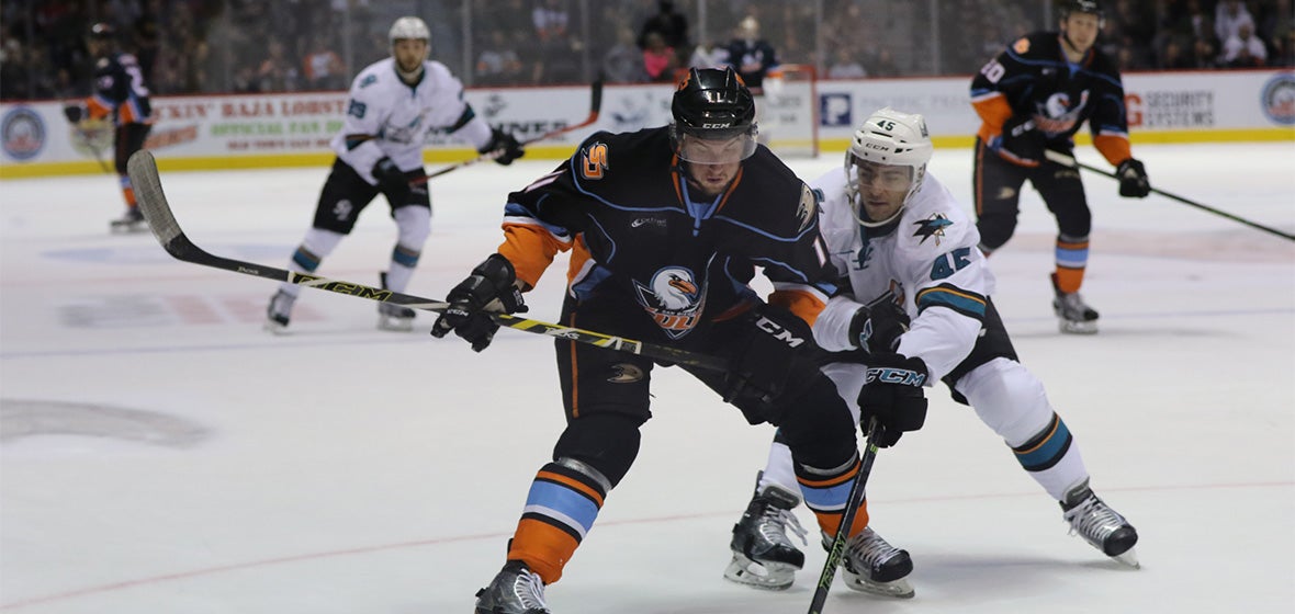 Barracuda fall to Gulls in Overtime