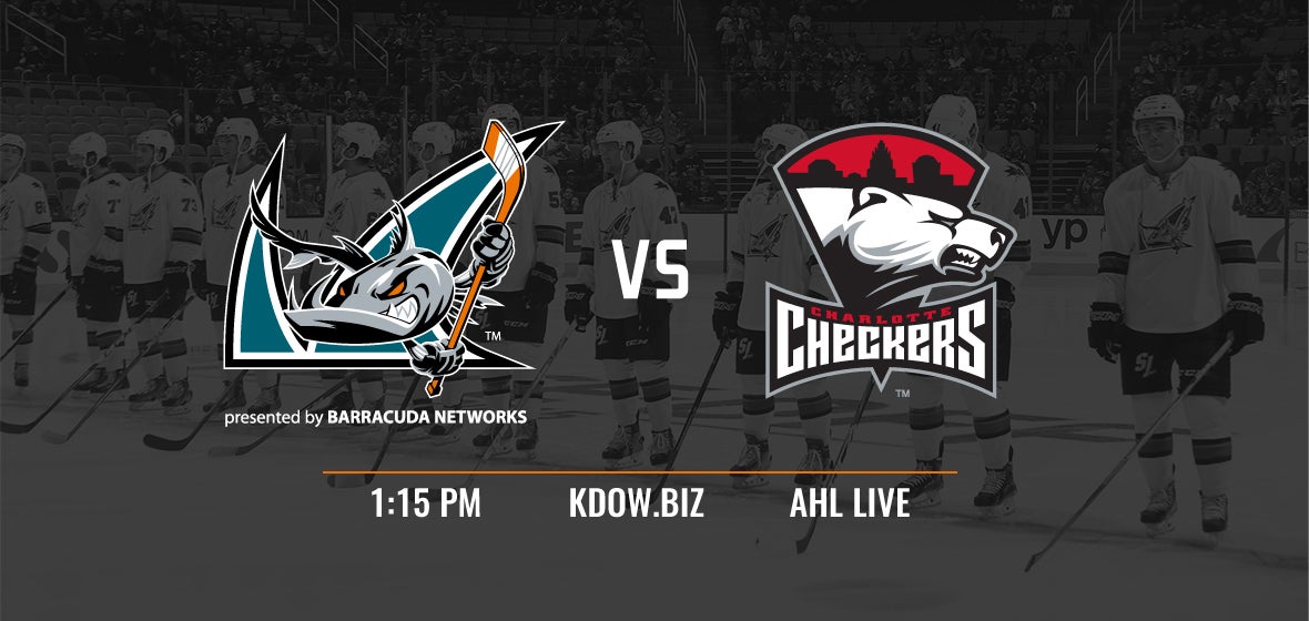 Gameday: Barracuda vs Checkers