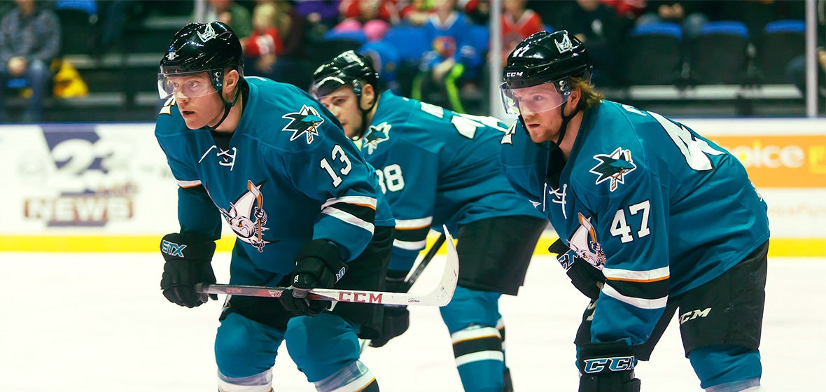 Barracuda Fall 2-1 in Overtime to Wild