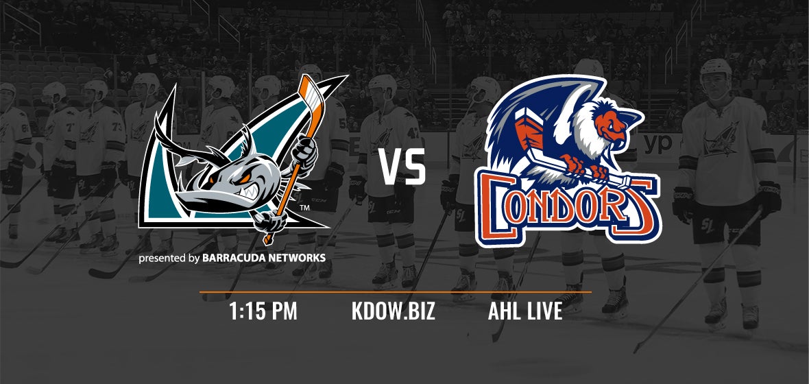 Gameday: Barracuda vs Condors