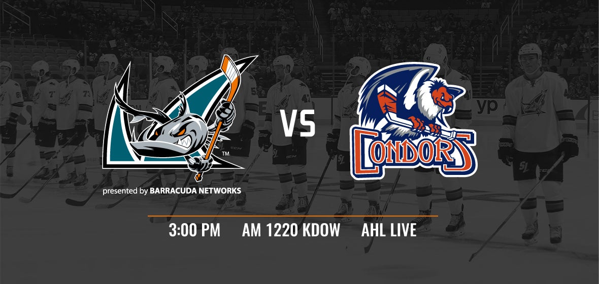 Gameday: Barracuda vs Condors