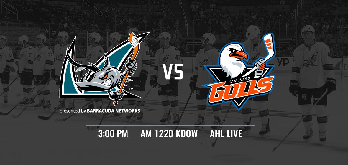 Gameday: Barracuda vs Gulls