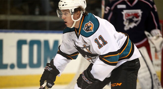 Bryan Lerg(42) San Jose Sharks