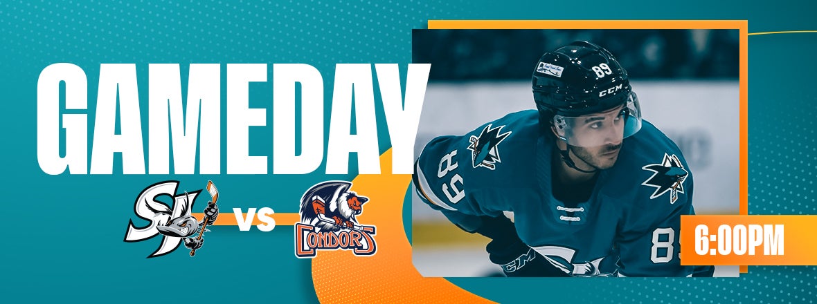 GAMEDAY: BARRACUDA VS CONDORS