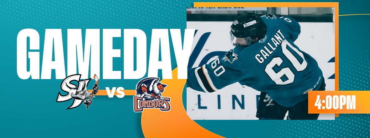 Gameday: Barracuda vs Condors