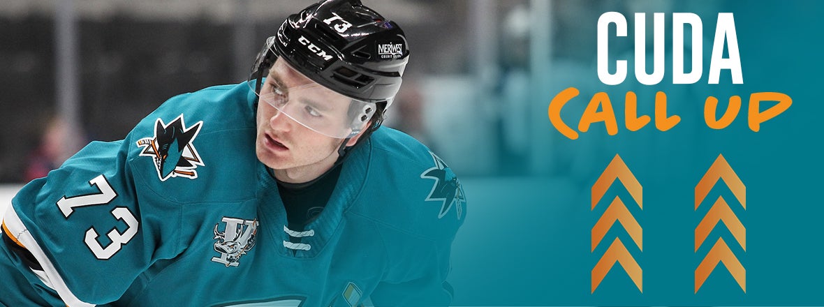 SHARKS RECALL FORWARD NOAH GREGOR