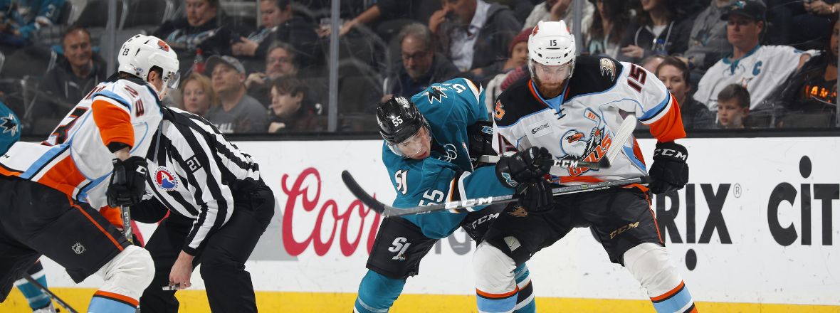 BARRACUDA SHUTOUT GULLS IN 4-0 WIN