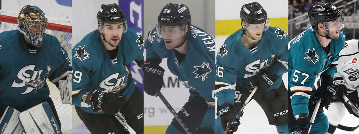  SHARKS RECALL FIVE PLAYERS FROM BARRACUDA