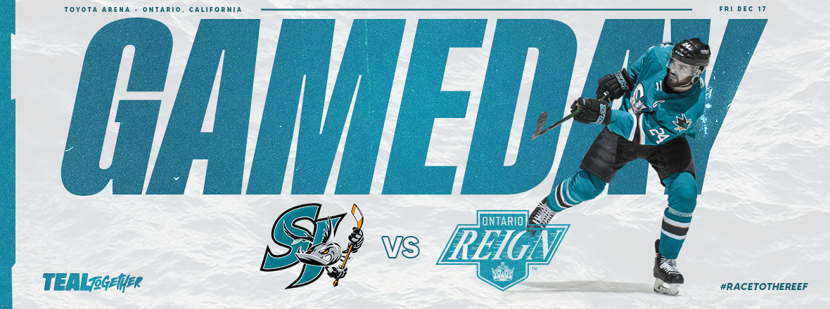  GAMEDAY: BARRACUDA AT REIGN