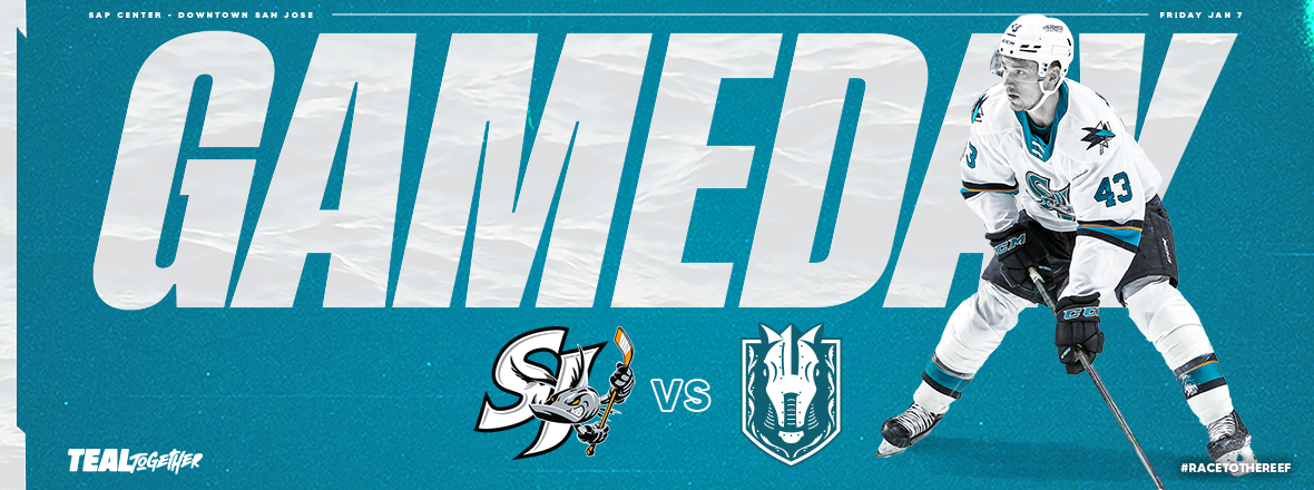 GAMEDAY: BARRACUDA VS SILVER KNIGHTS