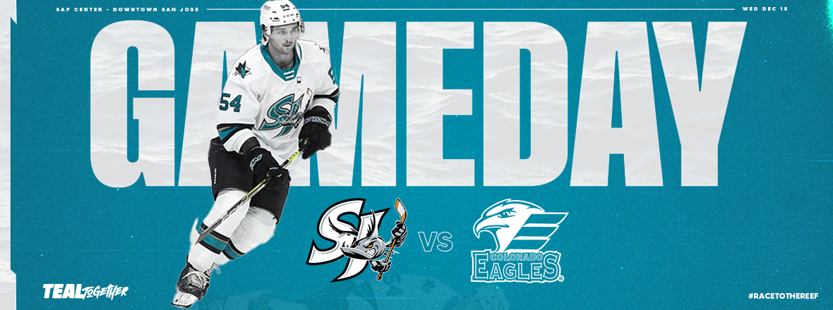 GAMEDAY: BARRACUDA VS EAGLES