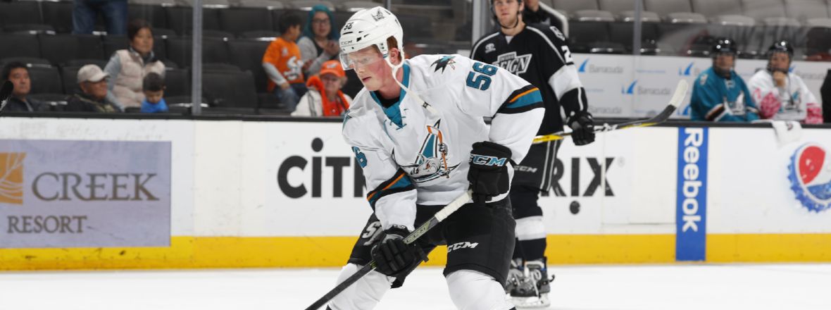 BARRACUDA RECALL FORWARD ALEX SCHOENBORN