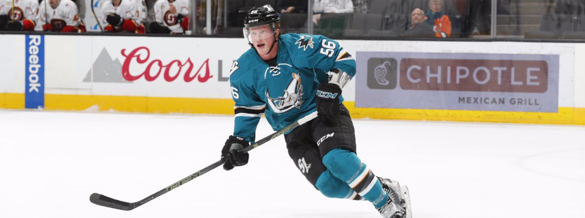 BARRACUDA ASSIGN ALEX SCHOENBORN TO ALLEN