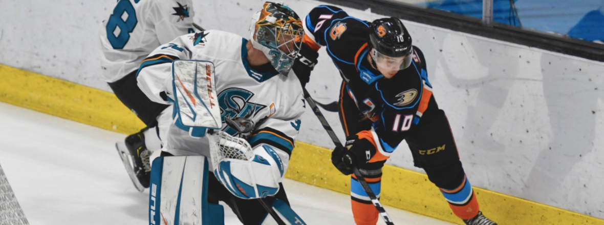 BARRACUDA DROP PRESEASON OPENER, 5-1