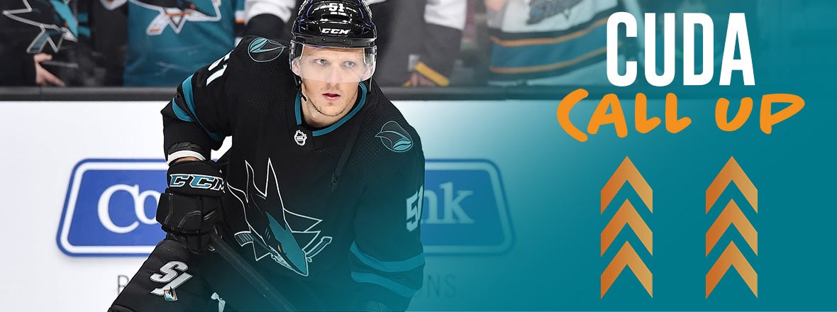 SHARKS RECALL RADIM SIMEK AND LEAN BERGMANN