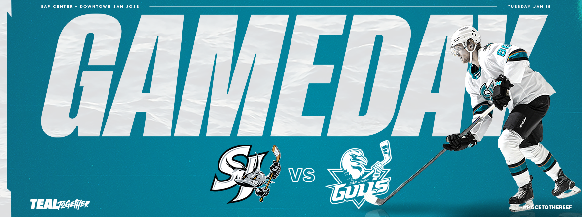 GAMEDAY: BARRACUDA VS GULLS