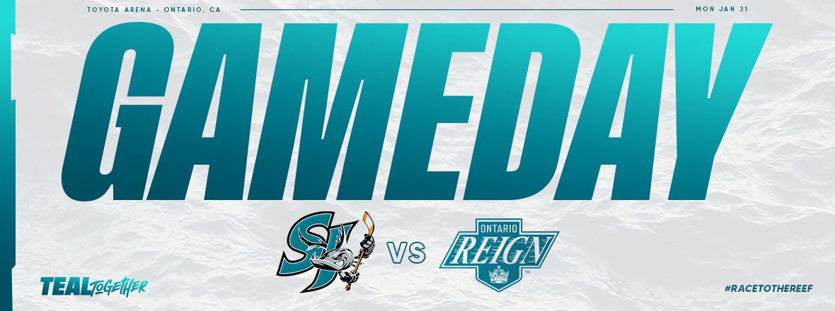 GAMEDAY: BARRACUDA AT REIGN