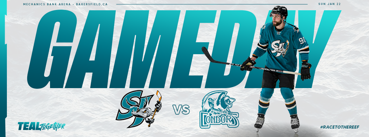 GAMEDAY: BARRACUDA AT CONDORS