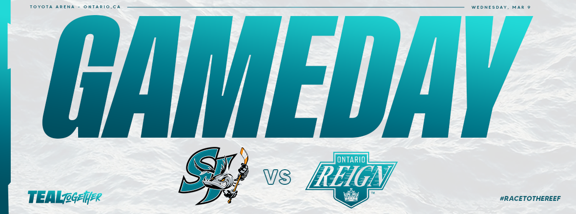 GAMEDAY: BARRACUDA AT REIGN