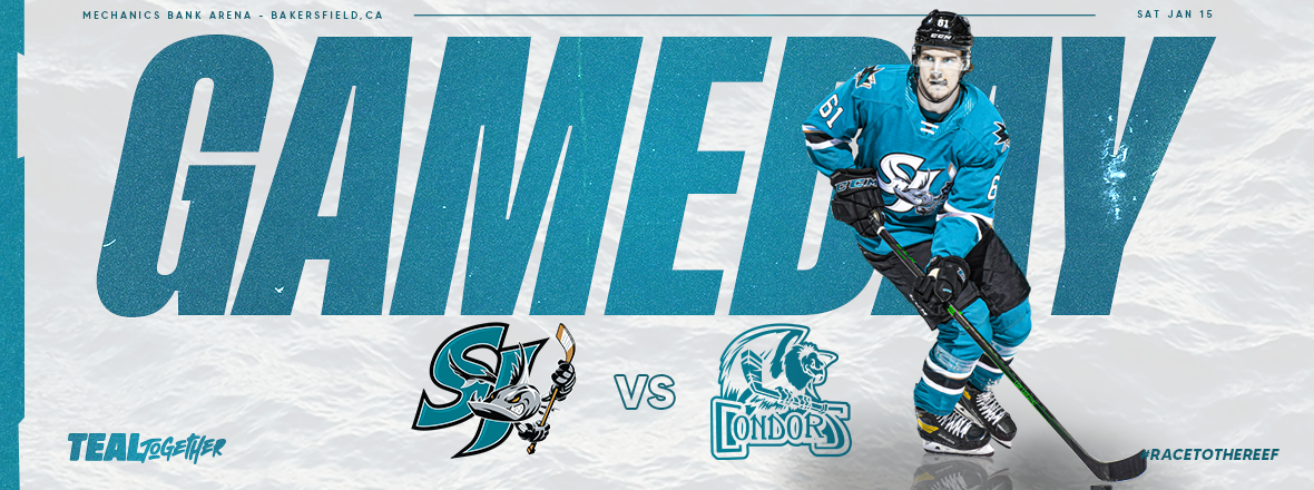 GAMEDAY: BARRACUDA AT CONDORS