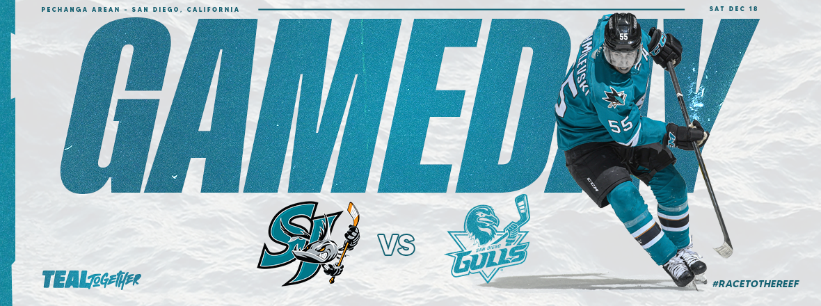 GAMEDAY: BARRACUDA AT GULLS