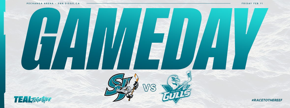 GAMEDAY: BARRACUDA AT GULLS