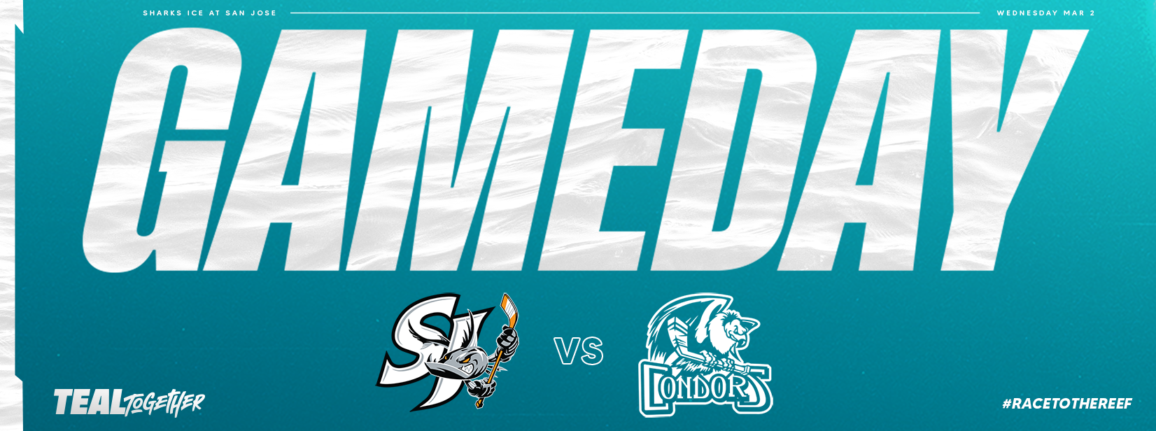 GAMEDAY: BARRACUDA VS CONDORS