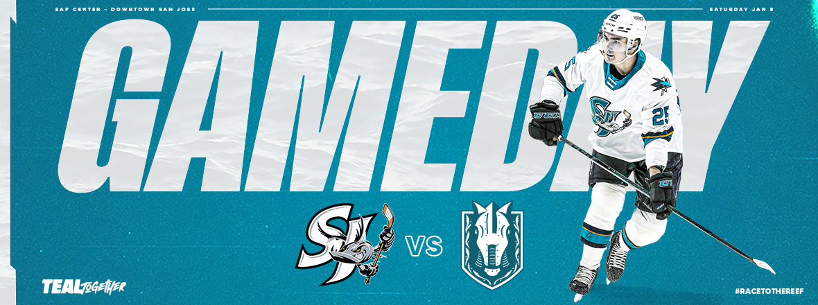 GAMEDAY: BARRACUDA VS SILVER KNIGHTS