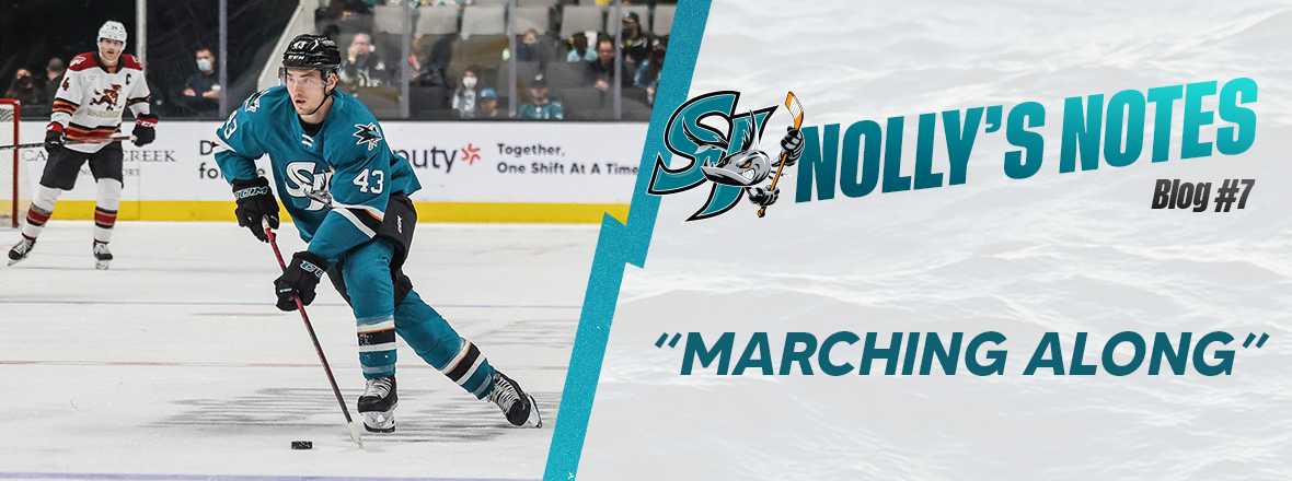 NOLLY'S NOTES - BLOG #7 | San Jose Barracuda