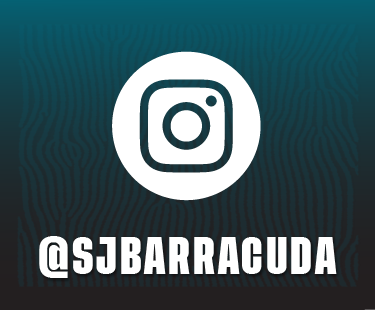 Website Graphics_Instagram Menu Button 375x310.png