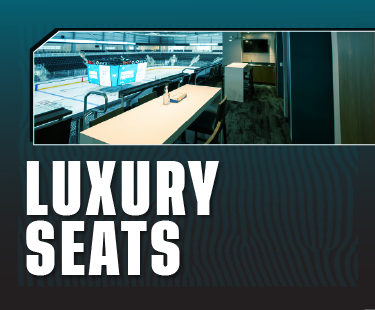 Website Graphics_Luxury Seats Menu Button 375x310.png