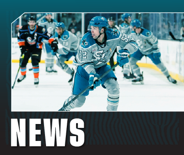 San Jose Barracuda –