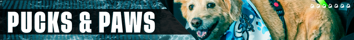 Website Graphics_Pucks & Paws Header 1175x133.png