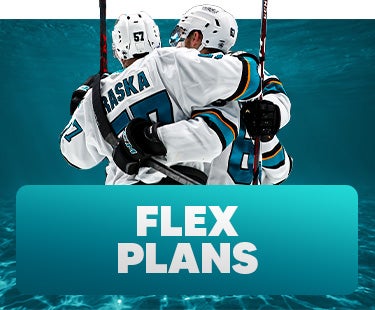 flex plans.jpg