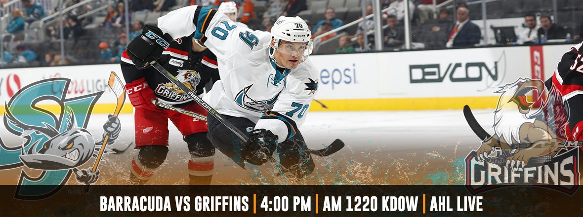 GAMEDAY: BARRACUDA AT GRIFFINS