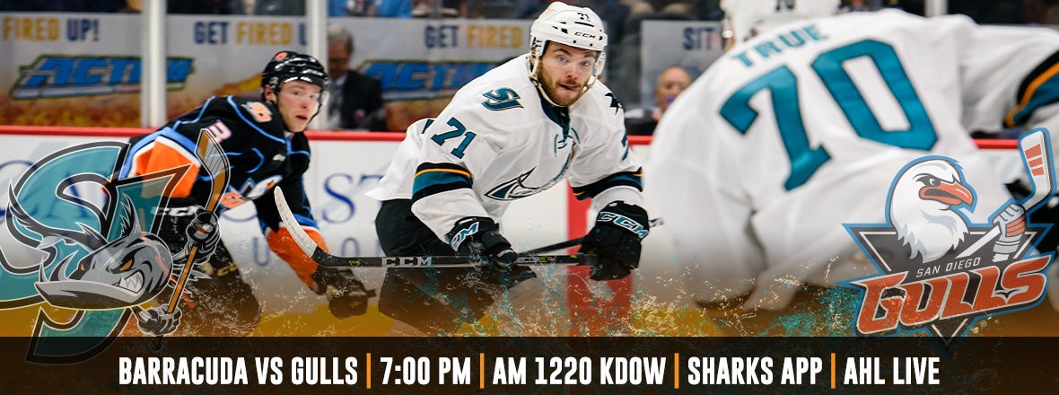 GAMEDAY: BARRACUDA AT GULLS