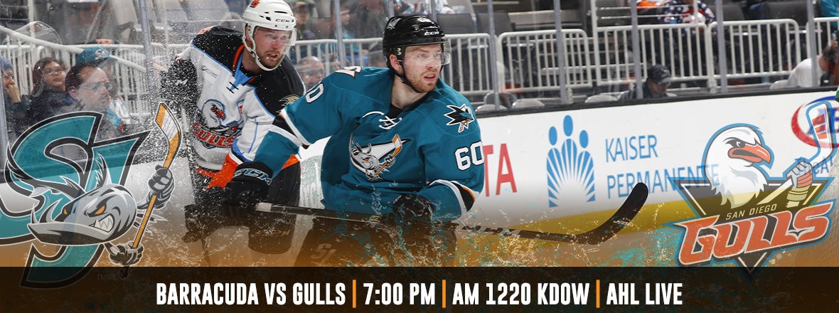 GAMEDAY: BARRACUDA VS GULLS